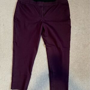 EVRI Women's Dark Purple Pants